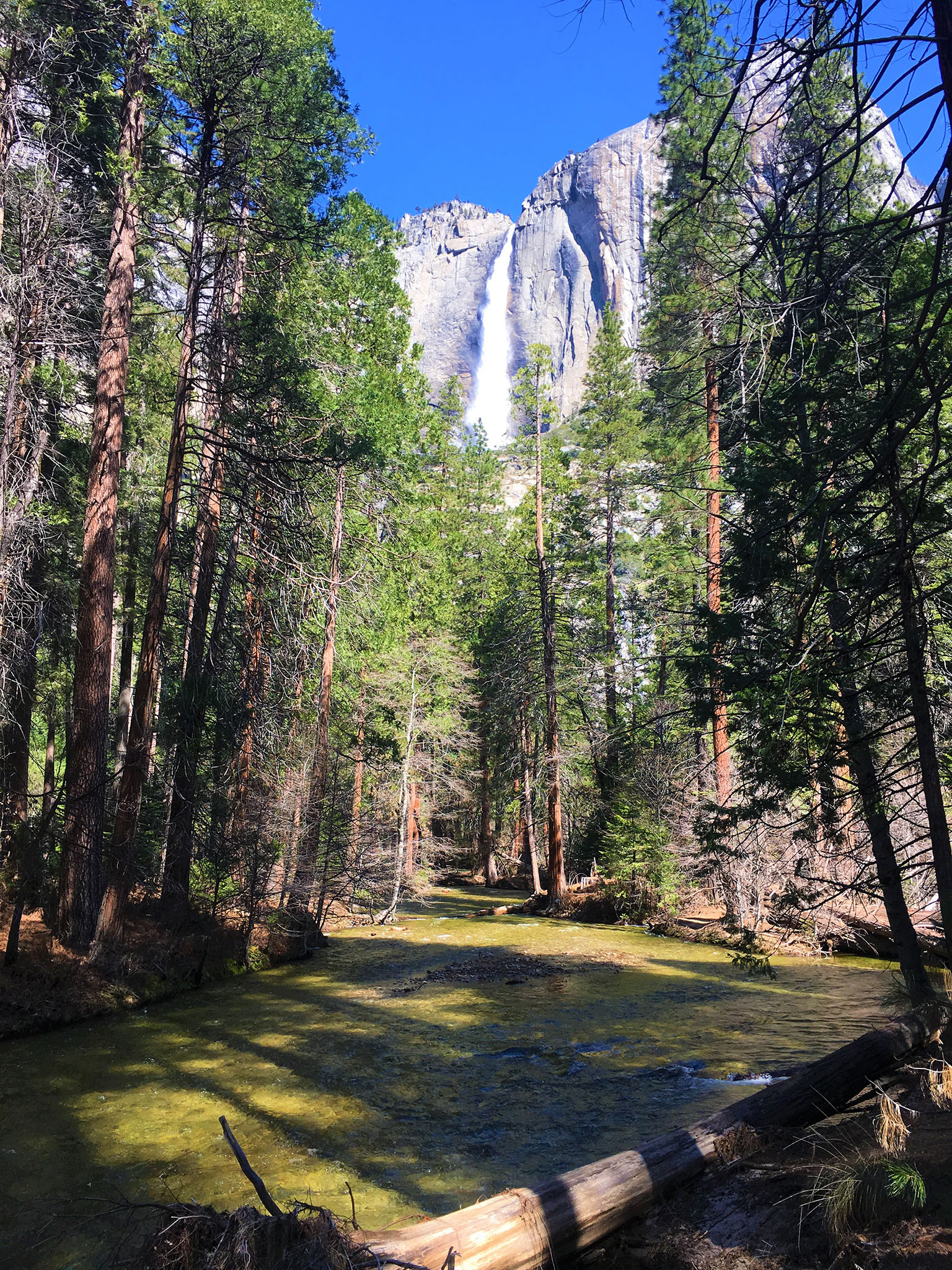 Photo courtesy of Daniel Heidkamp