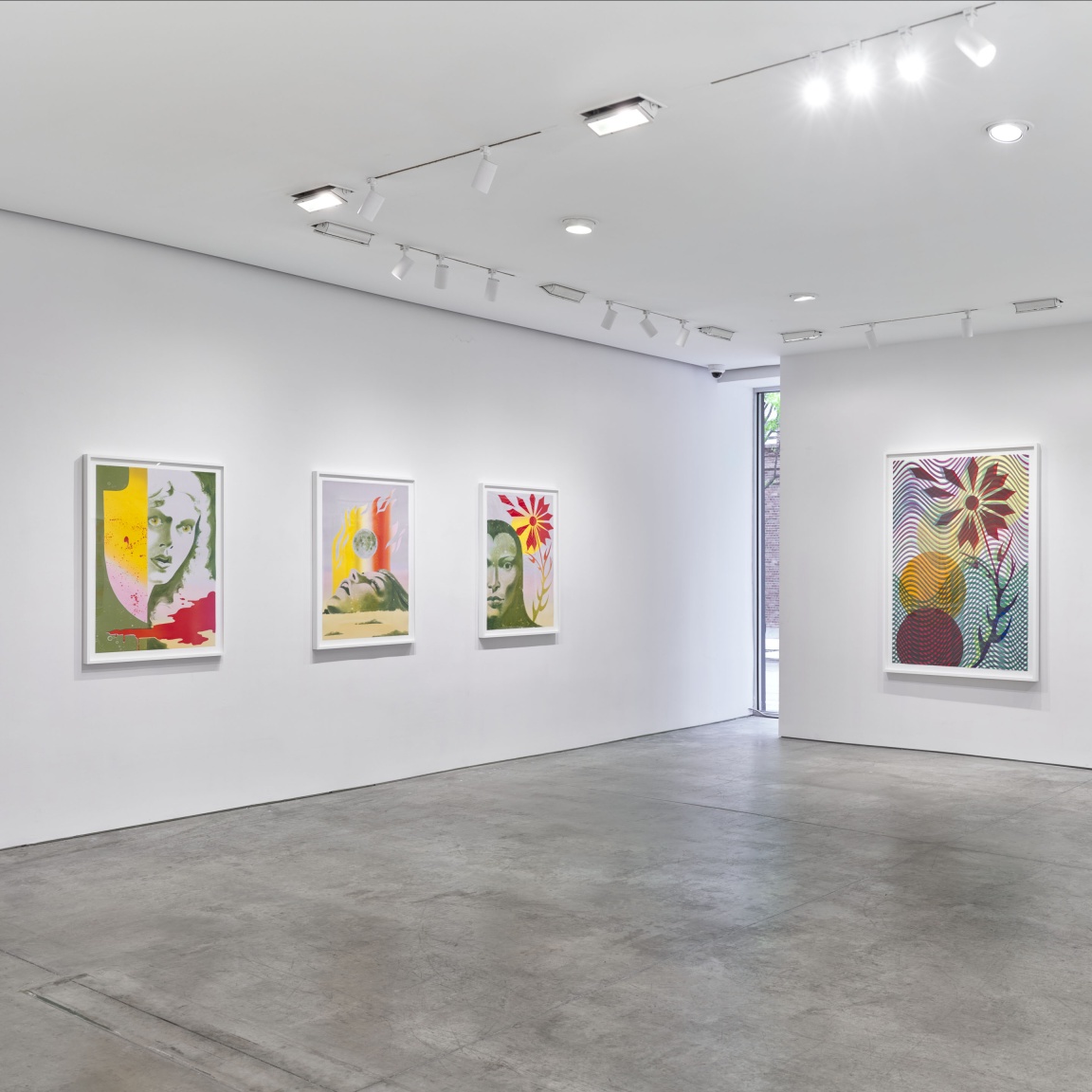 Installation view: Robin F. Williams