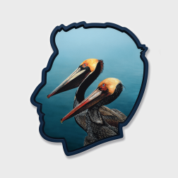 Self Portrait (Pelicans), Alex Israel, 2026.