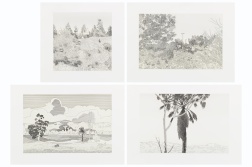 "Sierra Nevada Foothills", "Scottsdale", "Palo Alto, 1970", "Along the 134" (2024) by Jake Longstreth