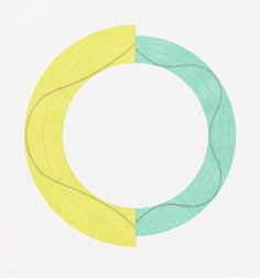 "Split Ring Image A" (2009) by Robert Mangold