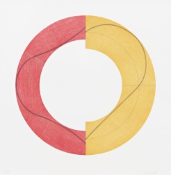 "Split Ring Image C" (2009) by Robert Mangold