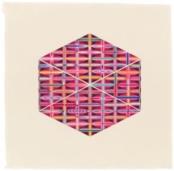 "Diamond grids in a Hexagon shape" (2024) by Yasuyuki Shibata
