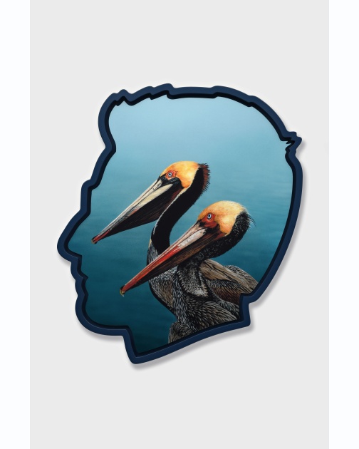 "Self Portrait (Pelicans)" (2026) by Alex Israel