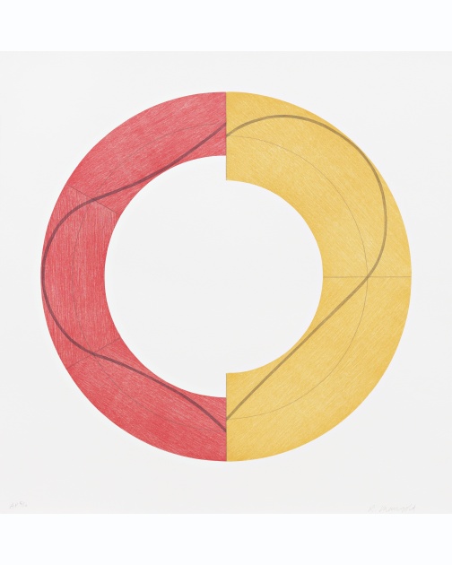 "Split Ring Image C" (2009) by Robert Mangold