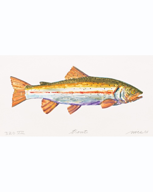 "Trout VII (320)" (2001) by Don Nice 