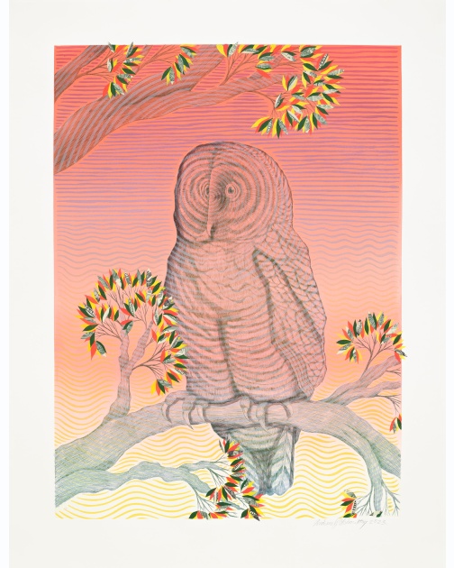 "Owl at Dawn" (2023) by Andrew Schoultz