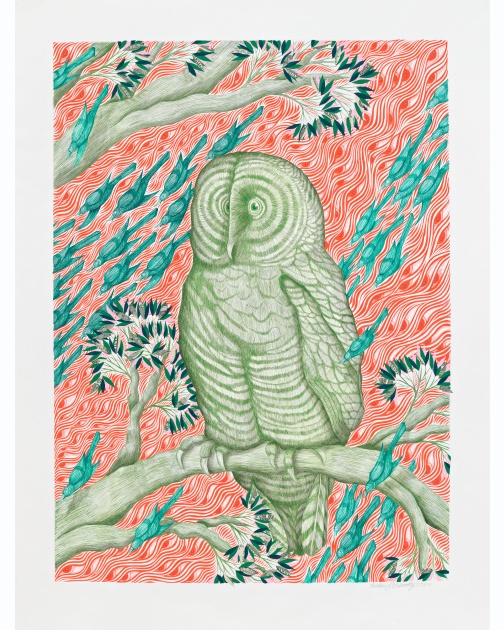 "All Seeing Owl (Green)" (2024) by Andrew Schoultz