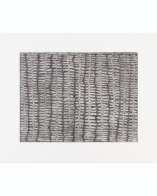 "Shaded Recursive Combs" (2007) by James Siena 