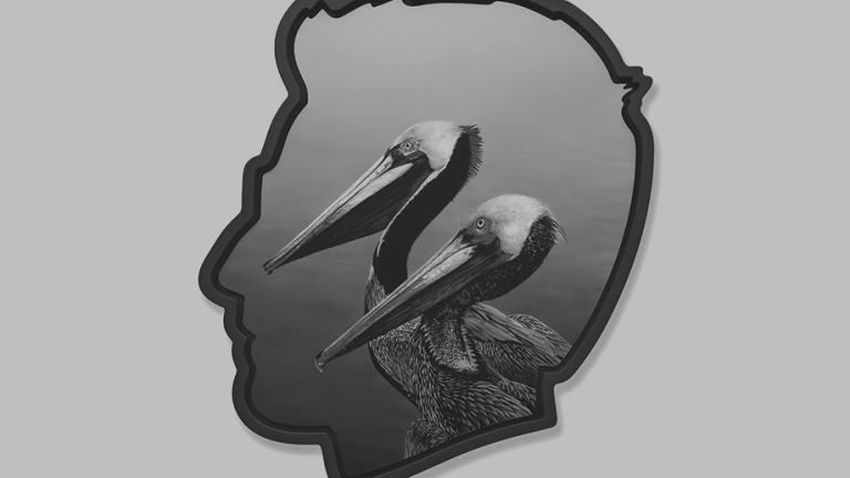 Self Portrait (Pelicans), Alex Israel, 2026.