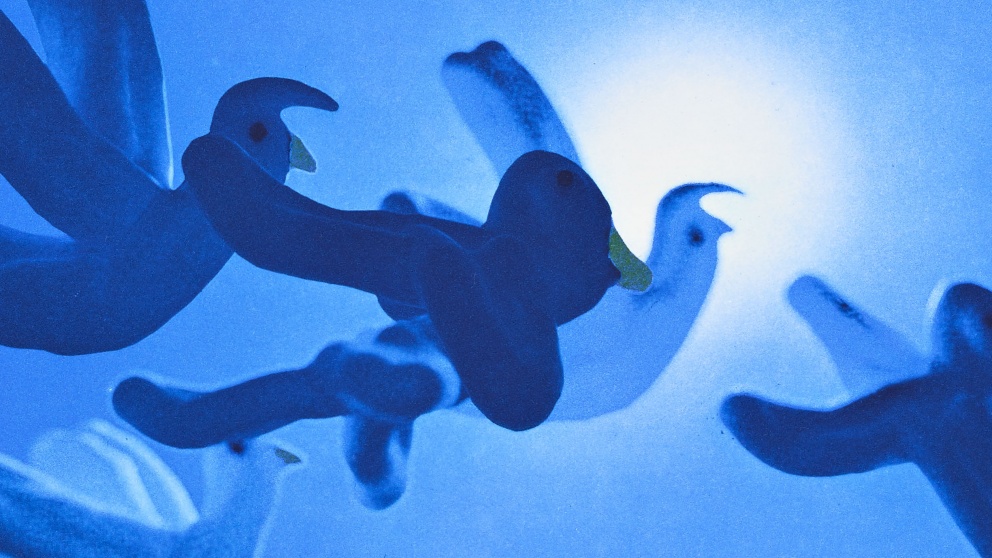 Detail of "Rendered Birds" by Austin Lee
