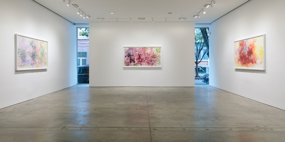 Installation view: Nigel Cooke