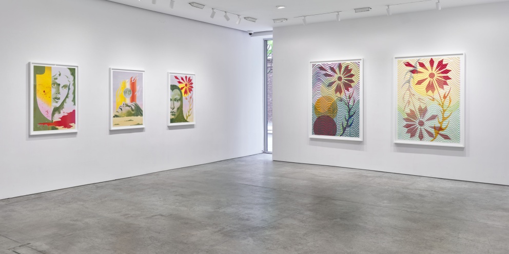 Installation view: Robin F. Williams