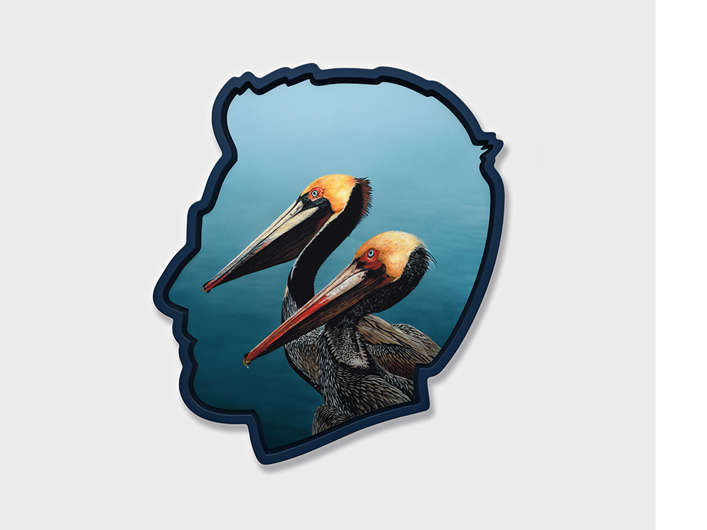Self Portrait (Pelicans), Alex Israel, 2026.